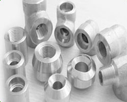 Stainless Steel Forged Fittings